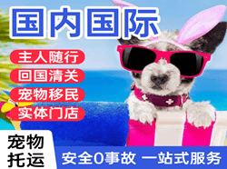 吕梁空运公司国际宠物托运 【国